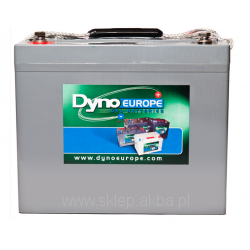 DGY 12-100EV (12V 100Ah)